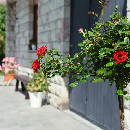 La Residenza Di Bacco Appartement Cannara