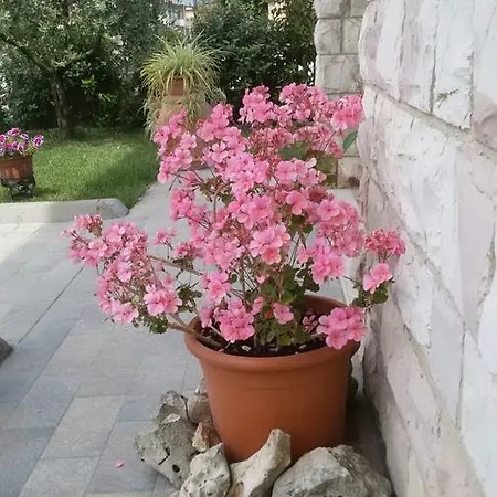 Appartement La Residenza Di Bacco