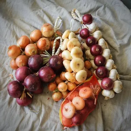 La Residenza Di Bacco * Cannara